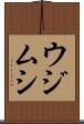 ウジムシ Scroll