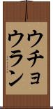ウチョウラン Scroll