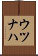ウツナハ Scroll