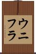 ウニフラ Scroll