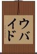 ウバイド Scroll