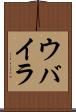 ウバイラ Scroll