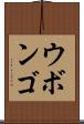 ウボンゴ Scroll