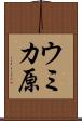 ウミカ原 Scroll