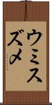 ウミスズメ Scroll