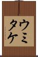 ウミタケ Scroll