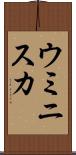 ウミニスカ Scroll