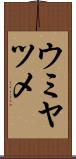 ウミヤツメ Scroll