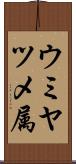 ウミヤツメ属 Scroll