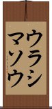 ウラシマソウ Scroll