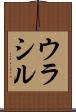 ウラシル Scroll
