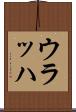 ウラッハ Scroll