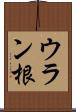 ウラン根 Scroll