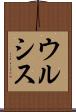 ウルシス Scroll