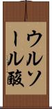 ウルソール酸 Scroll