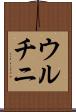 ウルチニ Scroll