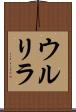 ウルリラ Scroll