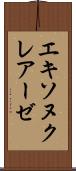 エキソヌクレアーゼ Scroll