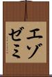 エゾゼミ Scroll