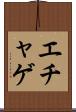 エチャゲ Scroll