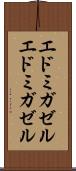 エドミガゼル Scroll