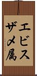 エビスザメ属 Scroll
