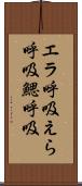 エラ呼吸 Scroll