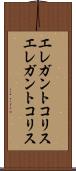 エレガントコリス Scroll