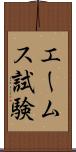 エームス試験 Scroll