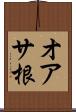 オアサ根 Scroll
