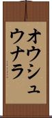 オウシュウナラ Scroll