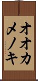 オオカメノキ Scroll