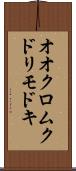 オオクロムクドリモドキ Scroll