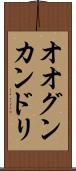 オオグンカンドリ Scroll