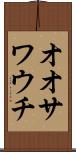 オオサワウチ Scroll