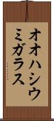 オオハシウミガラス Scroll