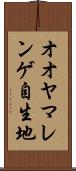 オオヤマレンゲ自生地 Scroll