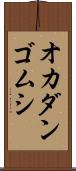 オカダンゴムシ Scroll
