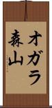 オガラ森山 Scroll