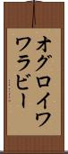 オグロイワワラビー Scroll
