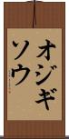 オジギソウ Scroll