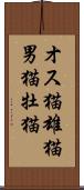 オス猫 Scroll