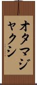 オタマジャクシ Scroll