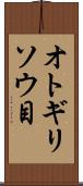 オトギリソウ目 Scroll