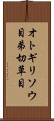 オトギリソウ目 Scroll