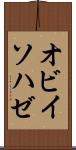 オビイソハゼ Scroll