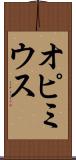 オピミウス Scroll