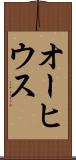 オーヒウス Scroll