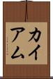 カイアム Scroll