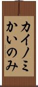 カイノミ Scroll
